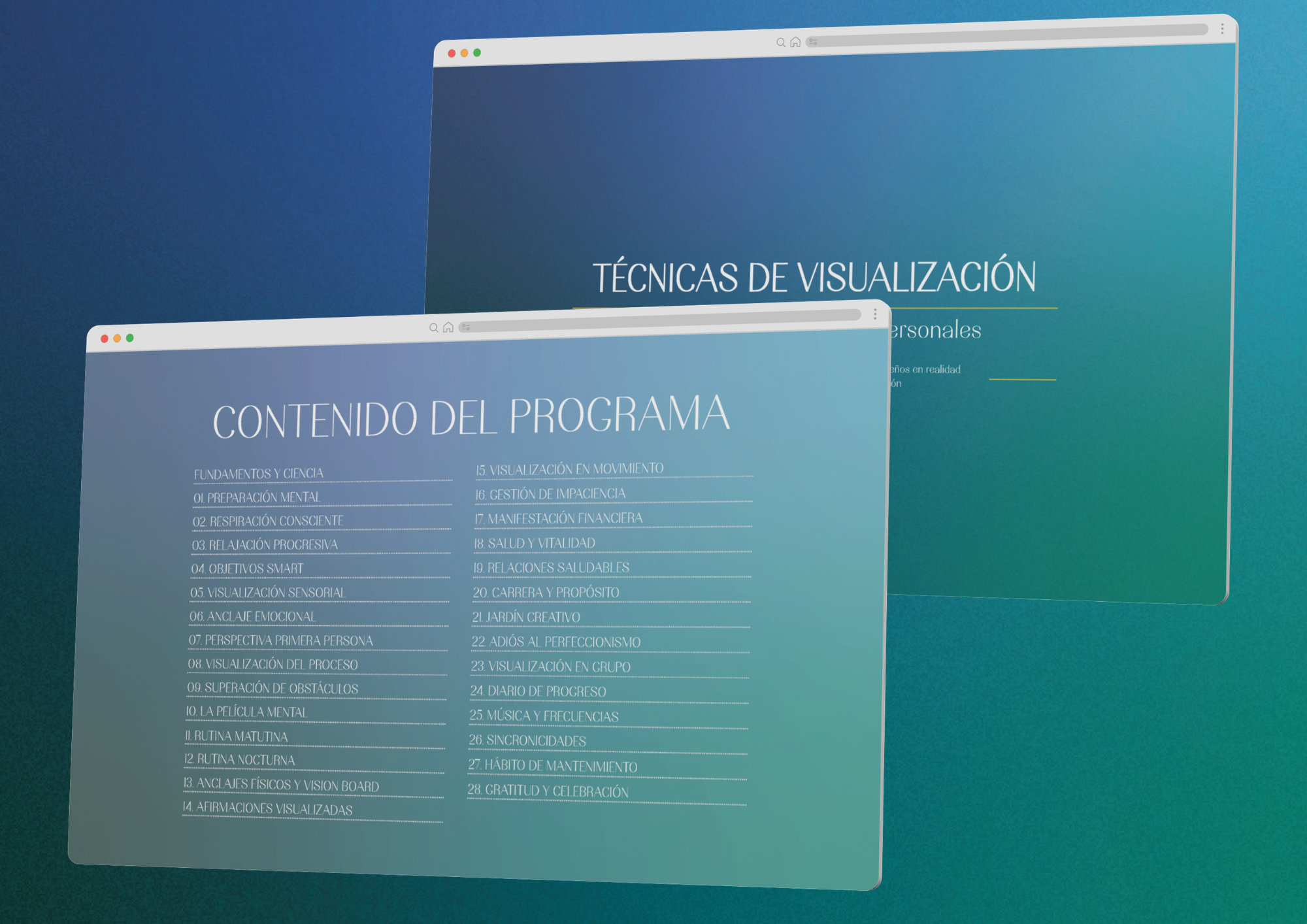 Guía de Visualización: Técnicas para Alcanzar tus Objetivos Personales (PDF)
