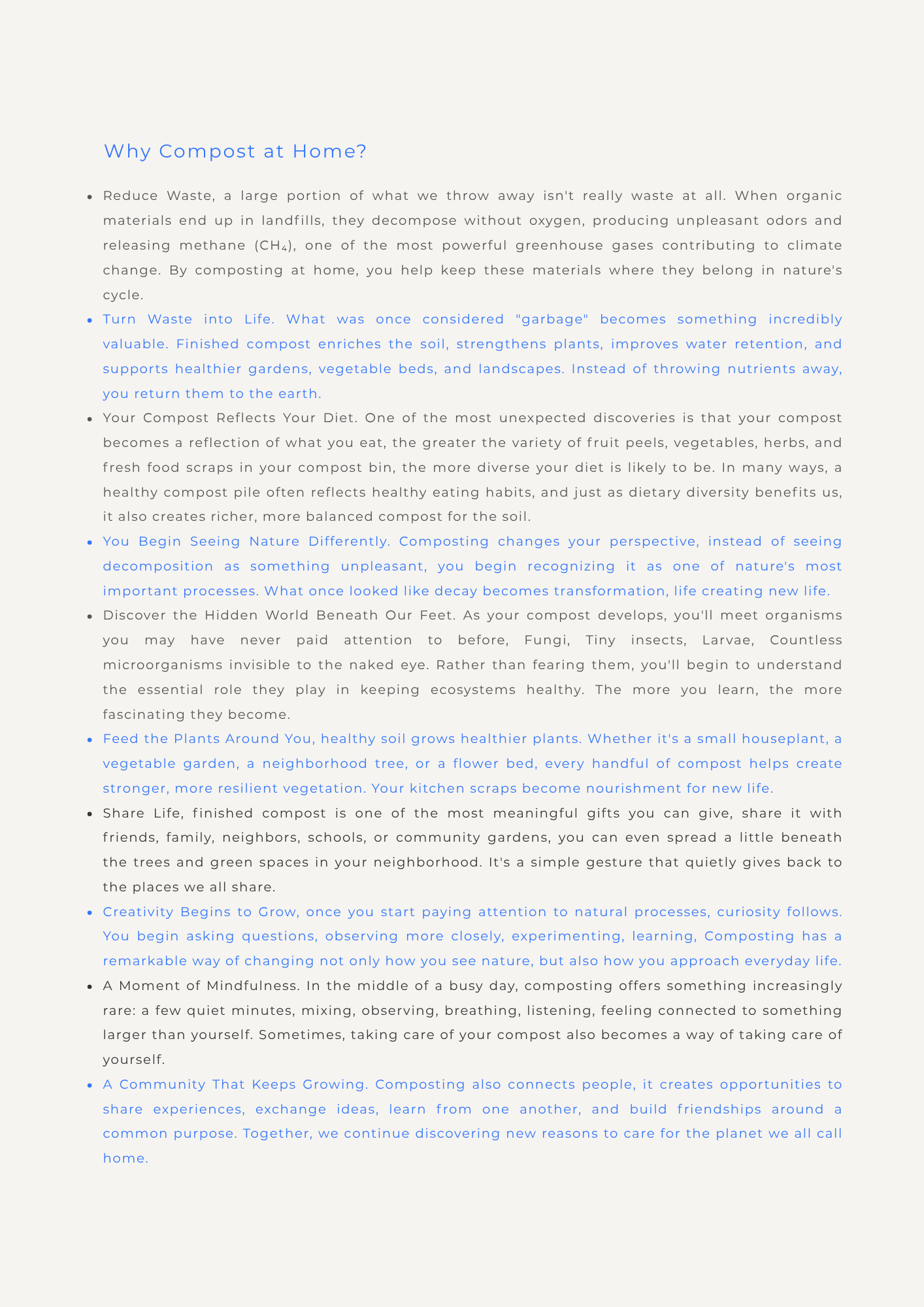 HOME COMPOSTING JOURNAL & Virtual Support.